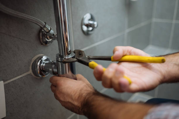 Best Local Plumber Services  in Summerville, SC